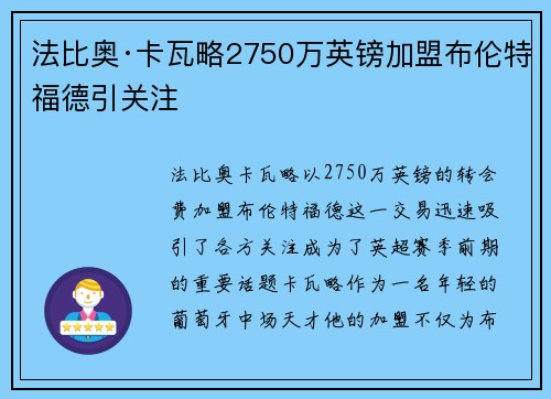 法比奥·卡瓦略2750万英镑加盟布伦特福德引关注